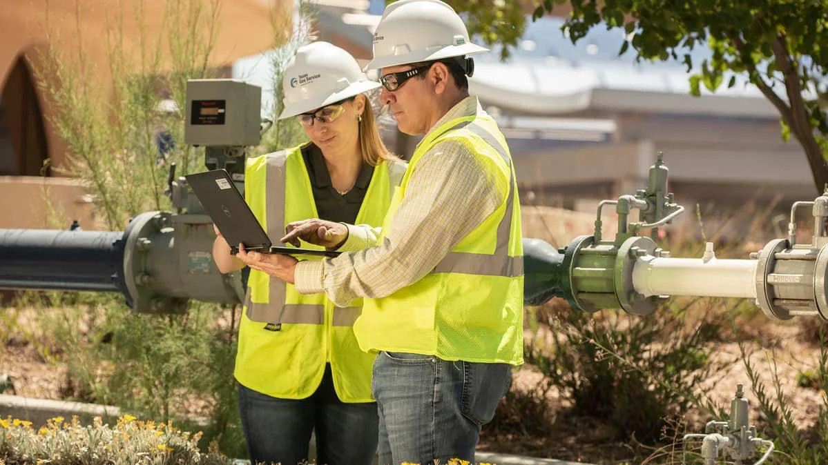 Professional services team supporting gas system deployment